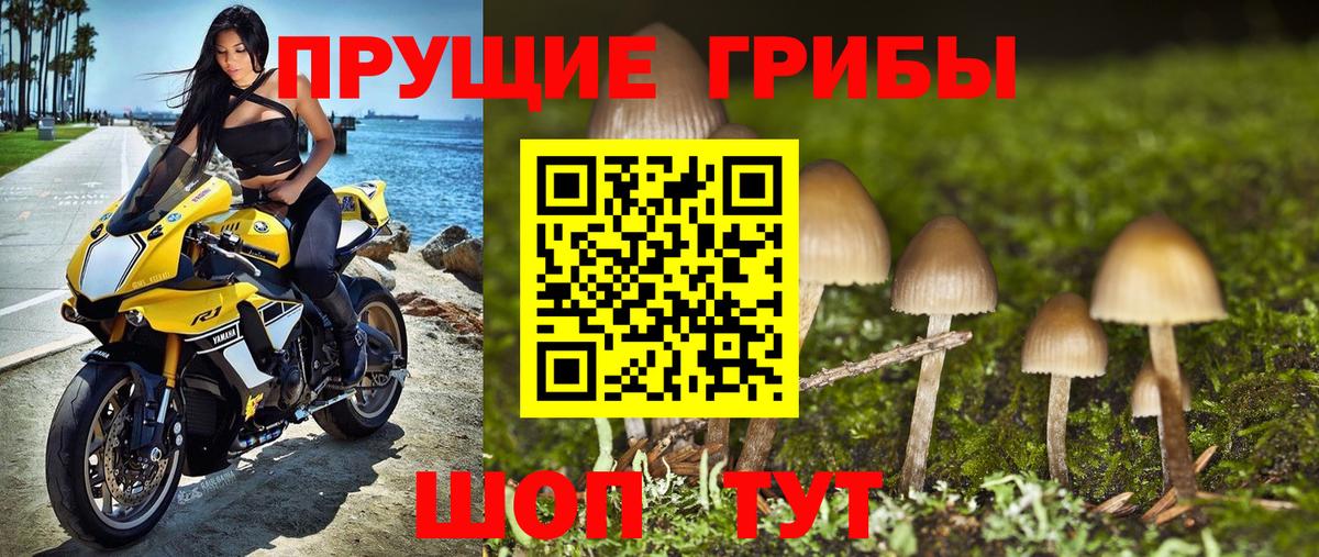 Галлюциногенные грибы GOLDEN TEACHER  Вход с VPN  Галлюциногенные грибы Cubensis  Якутск 